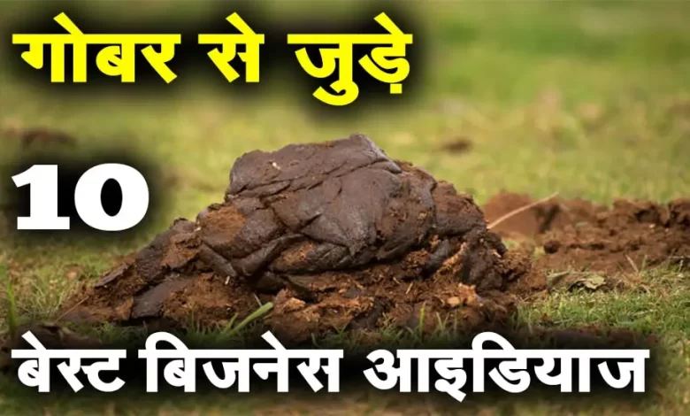 cow dung products business plan